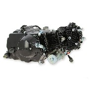 Engine 50cc 139FMA-2 with Starter Motor for Skymini Skyteam (Black)