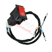 Hazard Flasher Switch for ATV Bashan Quad 200cc (BS200S-3A)