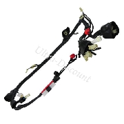 Wire Harness for ATV Shineray Quad 200cc (XY200ST-6A)