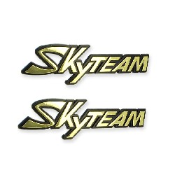 2 x SkyTeam logo plastic sticker for Trex tank
