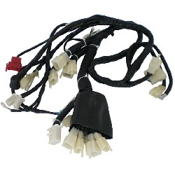 Wire Harness for ATV Bashan Quad 250cc (BS250S-11)
