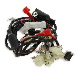 Wire Harness for ATV Bashan Quad 200cc (BS200S-3)