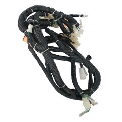 Wire Harness for ATV Bashan Quad 300cc (BS300S-18)