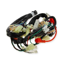 Wire Harness for Dax Skyteam Skymax 50 to 125cc EURO4 (after 09-2017)