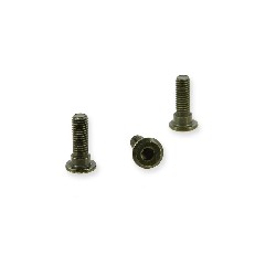 Set of 3 Screws 25mm for Brake Disc for Citycoco (type2)