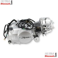 Engine 125cc Euro5 Skyteam T-Rex Bilder 1