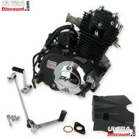 Engine 50cc vertical (139FMA-2) Skyteam ACE Bilder 1