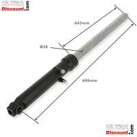 Right Front Fork Tube Ø30 Dax Skyteam 50-125cc Type3 (Black) Bilder 1
