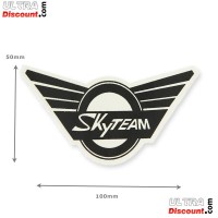 SkyTeam sticker for Skymini tank (front)