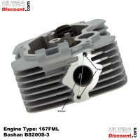 Full Cylinder Head for ATV Bashan Quad 200cc (BS200S-3) Bilder 3