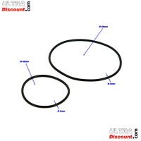 Cylinder Head O-rings Kit for Pocket Bike Polini GP3 Bilder 1