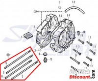 Cylinder Studs 125cc for Trex Skyteam