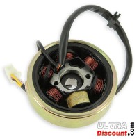 Complete Ignition Kit for engines Skyteam 125cc Bilder 1