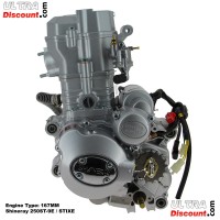 Engine for ATV Shineray Racing Quad 250cc (167MM)