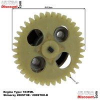 Oil Pump for ATV Shineray Quad 200cc STIIE (163FML) Bilder 1