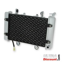 Shineray 250cc Racing ST-9E full quad radiator Bilder 3