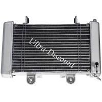 Shineray 250cc Racing ST-9E full quad radiator Bilder 2