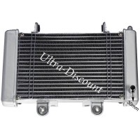 Shineray 250cc Racing ST-9E full quad radiator