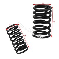 Valve Springs for ATV Shineray Quad 200cc (XY200ST-6A)