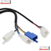 Electric Throttle Grip Kit Citycoco Shopper Bilder 1