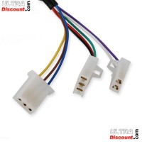 Electric Throttle Grip Kit Citycoco (Gold) typ2 Bilder 1