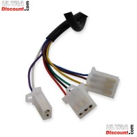 Electric Throttle Grip Kit Citycoco (Alu) type5 Bilder 1