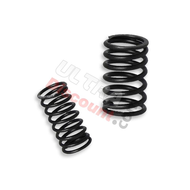 Valve Springs for ATV Shineray Quad 200cc (XY200ST-6A), Spare parts Shineray 200 ST6A