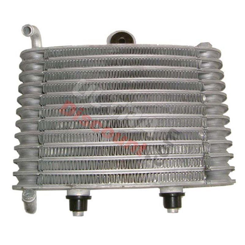 Radiator for Polini GP3, Polini 911 GP3 Spare Parts Radiator for Polini GP3, Polini 911 GP3 Spare Parts