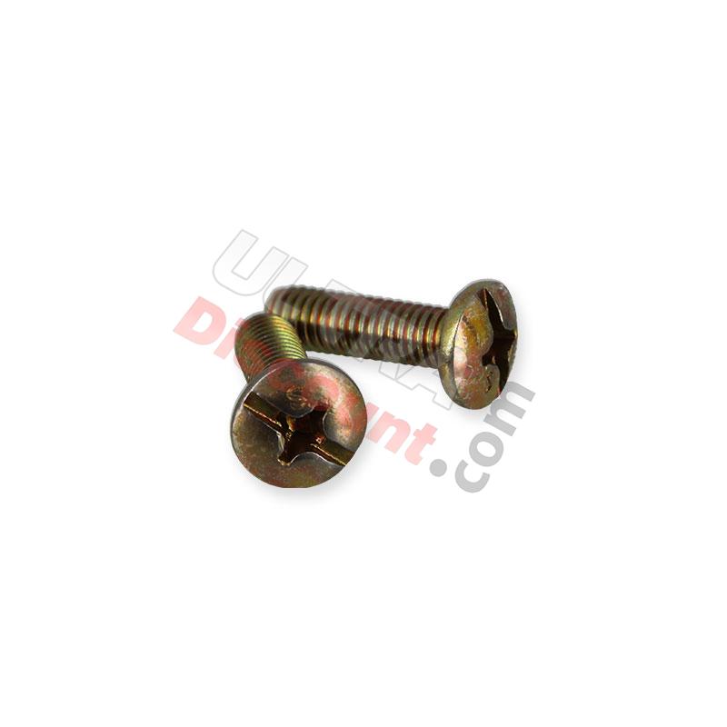2 fairing screws M6x20 for Citycoco, Citycoco spare parts