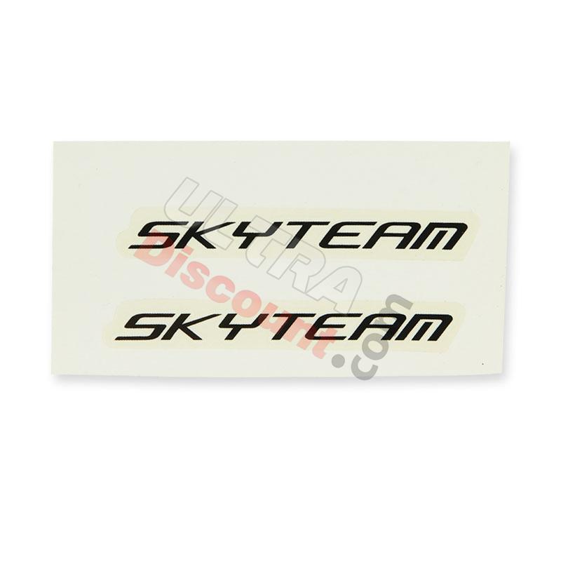 SkyTeam sticker (White-black), Dax Skymax Parts