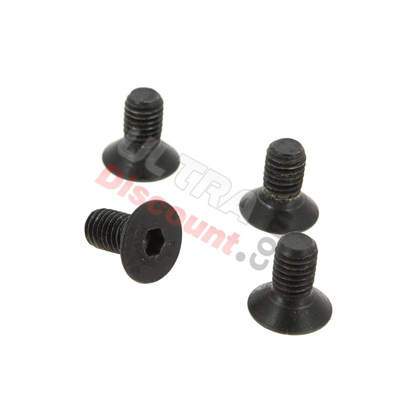 disc fixing screw for Citycoco (type3), Citycoco spare parts