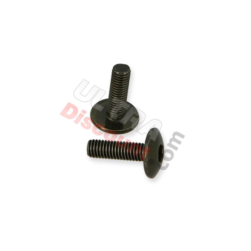 2 fairing screws M6x20 for Shineray 250cc, Shineray Quad Parts 250 ST9C