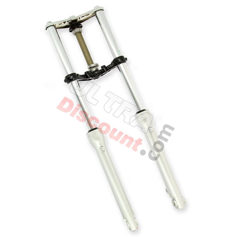 Complete Front Fork for Skyteam Cobra, Spare Part Cobra Skyteam