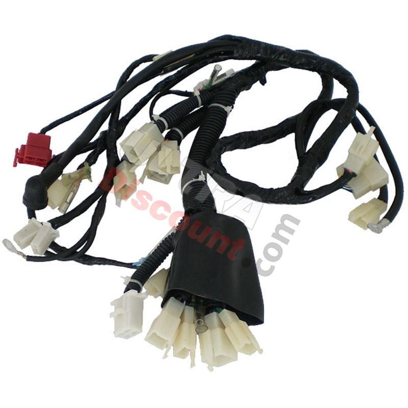 Wire Harness for ATV Bashan Quad 250cc (BS250S-11), Bashan Parts ATV 250cc BS250S11 Wire Harness for ATV Bashan Quad 250cc (BS250S-11), Bashan Parts ATV 250cc BS250S11
