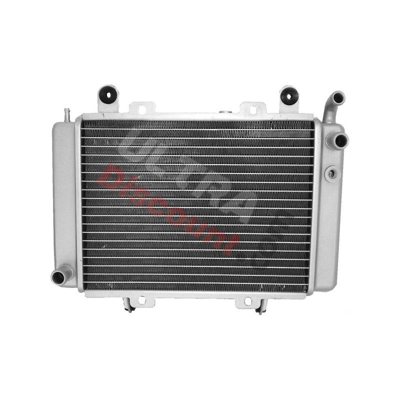 Radiator for ATV Shineray Quad 300cc ST-5E, Shineray Spare Parts ATV 300cc