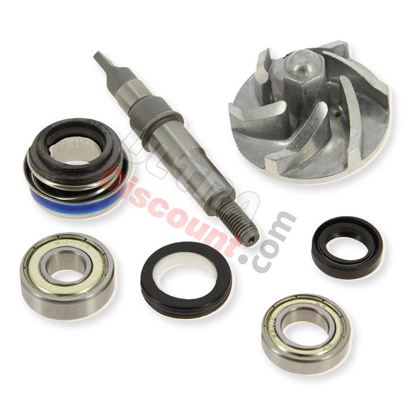 Water Pump Maintenance Kit for ATV Bashan Quad 250cc (BS250S-11), Bashan Parts ATV 250cc BS250S11