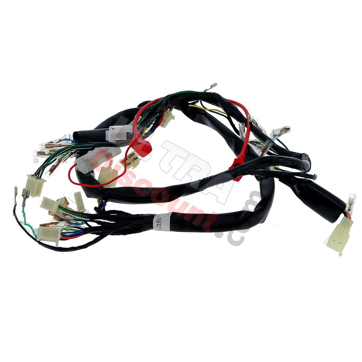 Wire Harness 36610-17H02 for Skymax 50cc 125cc (after 10-2015), Dax Skymax Parts