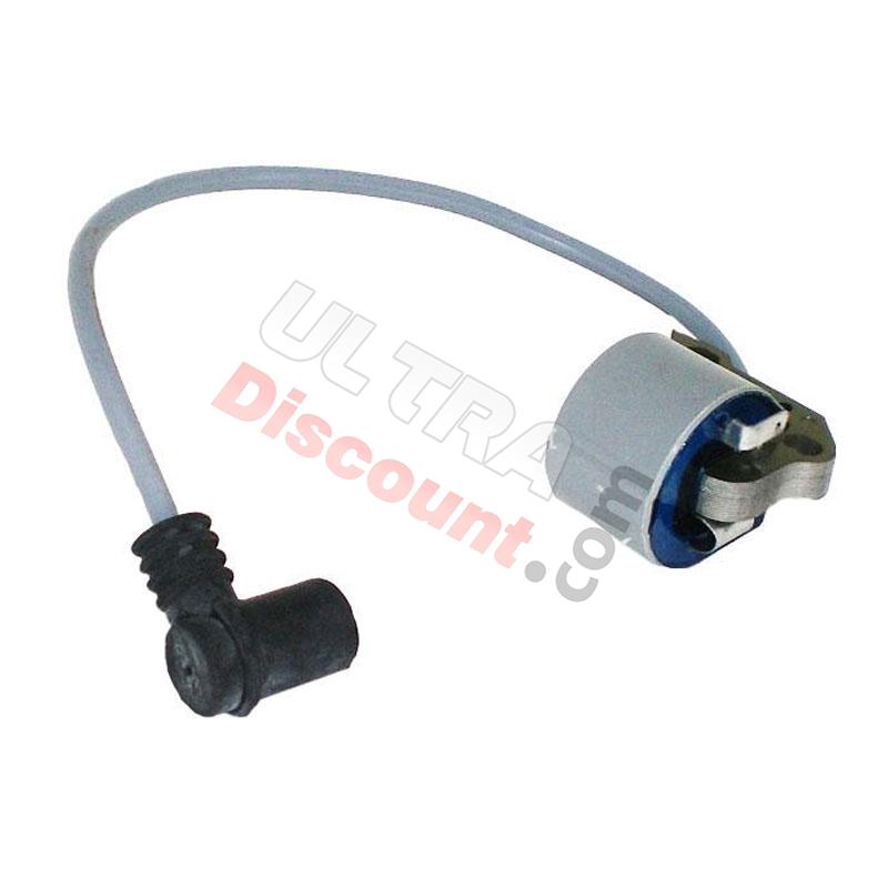 Ducati Ignition Coil for Pocket Bike Polini 911, Polini 911 GP3 Spare Parts