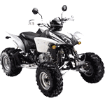 Shineray Spare Parts ATV 300cc