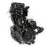 Zongshen Engine 200cc ZF163FML-L for Dirt Bike, Dirt Bike Spare Parts