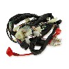 Wire Harness for Skyteam Skymax 125cc EURO4 (before 09-2017), Dax Skymax Parts