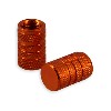 Pair of valve caps hellgraue, Citycoco spare parts