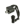 Ignition Coil for ATV Spy Racing 250 F3, ATV Spare Parts SPY250F3