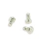 disc and crown fixing screw for Pocket dirt, Cross Pocket Bike Parts