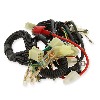 Wire Harness for PBR 110cc, PBR Skyteam ZB Honda Spare Parts