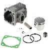 Stock Engine 49cc - 12mm wrist pin, Supermoto pocket Spare Parts