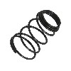 Strainer Spring for Baotian Scooter BT49QT-9, Baotian Parts - BT49QT-9