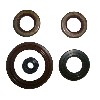 Set of 5 Oil Seals for Polini GP3, Polini 911 GP3 Spare Parts