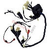 Wire Harness for ATV Shineray Quad 200cc STIIE-B, Shineray Parts ATV 200STIIE and STIIEB