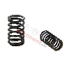 Valve Springs for ATV Shineray Quad 150cc (XY150STE), Shineray Parts ATV 150 STE
